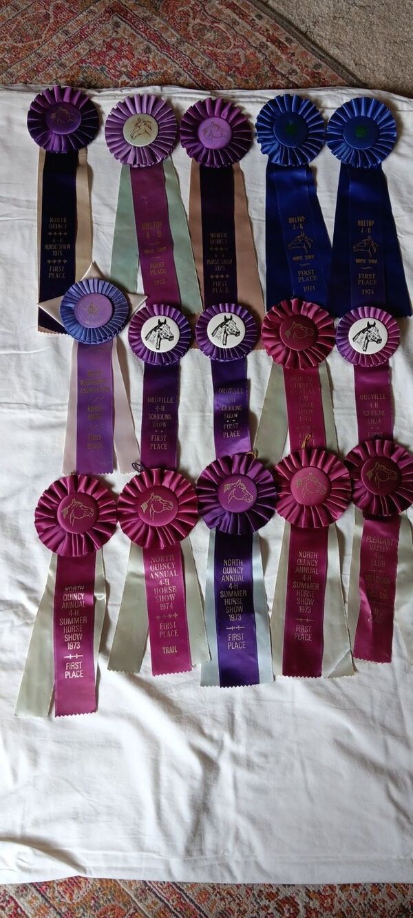 Vintage 1970s Horse Show Ribbon Lot 15 Purple Northern California - lot 2